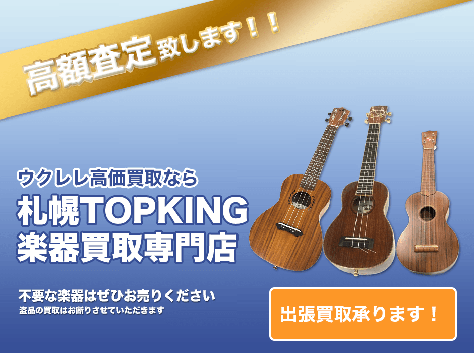 ウクレレ高価買取なら札幌TOPKING楽器買取専門店